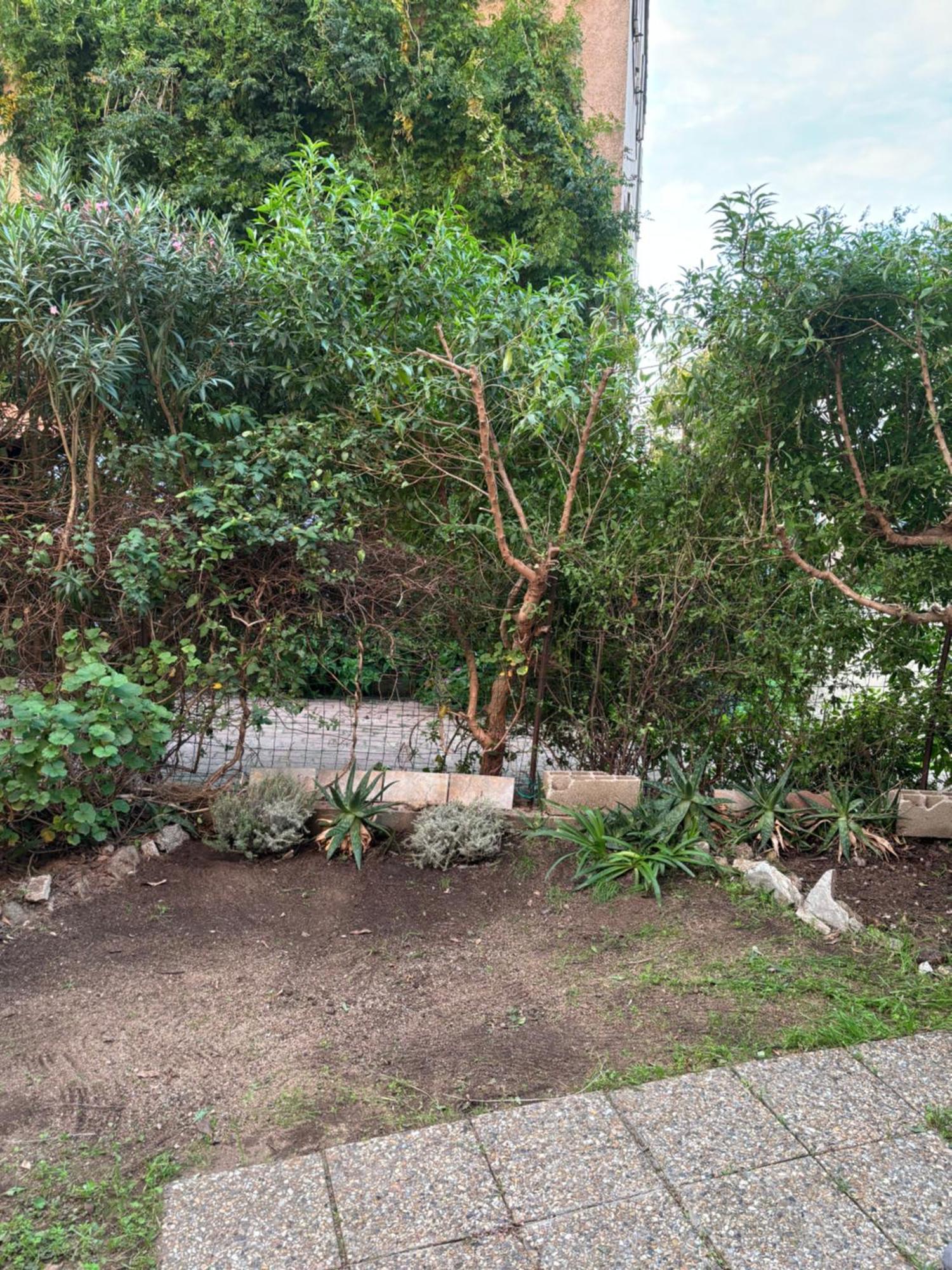 Appartamento Con Giardino A 50 M Dal Mare LʼÎle-Rousse Exterior foto